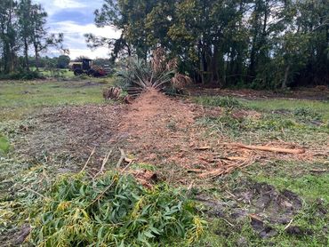 Land clearing project in Loxahatchee, Florida 5 acres tree clearing