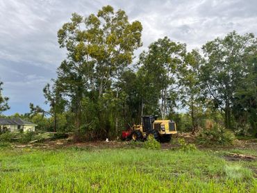 Land clearing project in Loxahatchee, Florida 5 acres tree clearing with CAT 553 and FECON mulcher