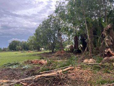 Land clearing project in Loxahatchee, Florida 5 acres tree clearing