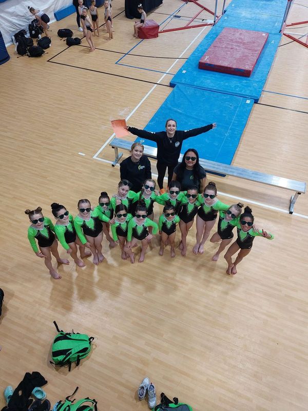 Gymnasts in green leotards wearing sunglasses posing indoors.