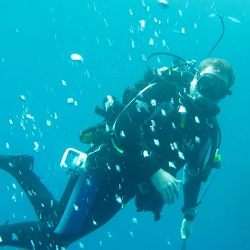 Scuba diver underwater with bubbles rising.