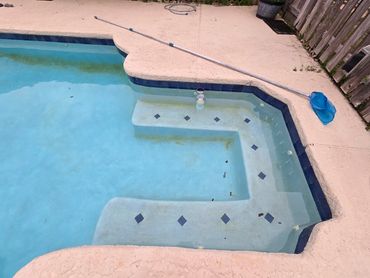 Neglected green pool with heavy algae growth before cleaning Lecanto FL