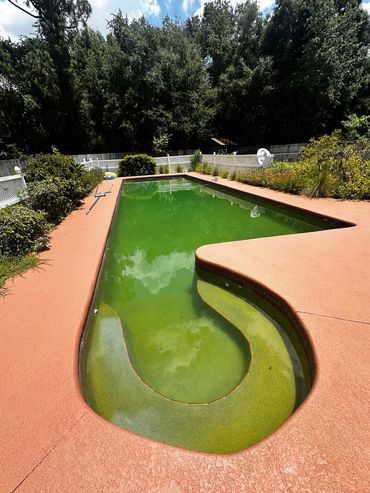 Cloudy green swimming pool before green-to-clean treatment, Crystal River