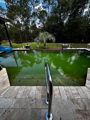 Dark green pool water before professional algae removal at Citrus Springs