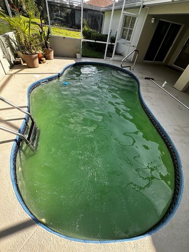 Severely neglected green pool before restoration in Citrus Hills