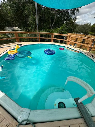 Crystal clear pool after Oh My Pool green pool recovery Pine Ridge