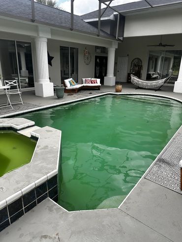 Green algae-filled swimming pool before professional recovery in Citrus County, FL.