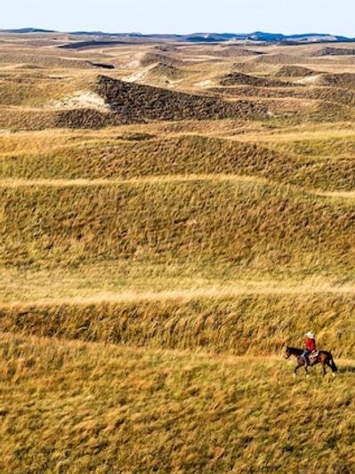 Cowboy riding in the Sandhills