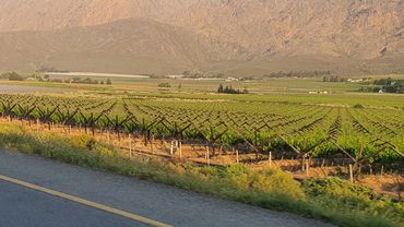 Cape Winelands Hex River Valley South Africa