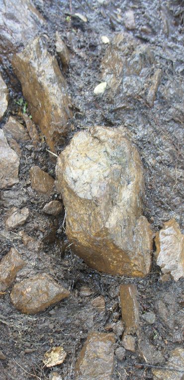 Patterned and fool's gold covered Obligatory stones. Repeating Pattern #2 RP2