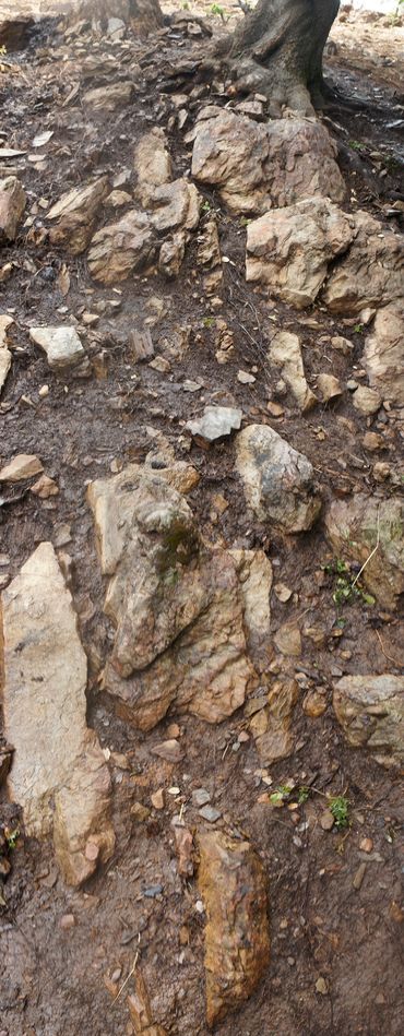 Definite pattern,lower Obligatory site, this appears to be an important stone within it's context.