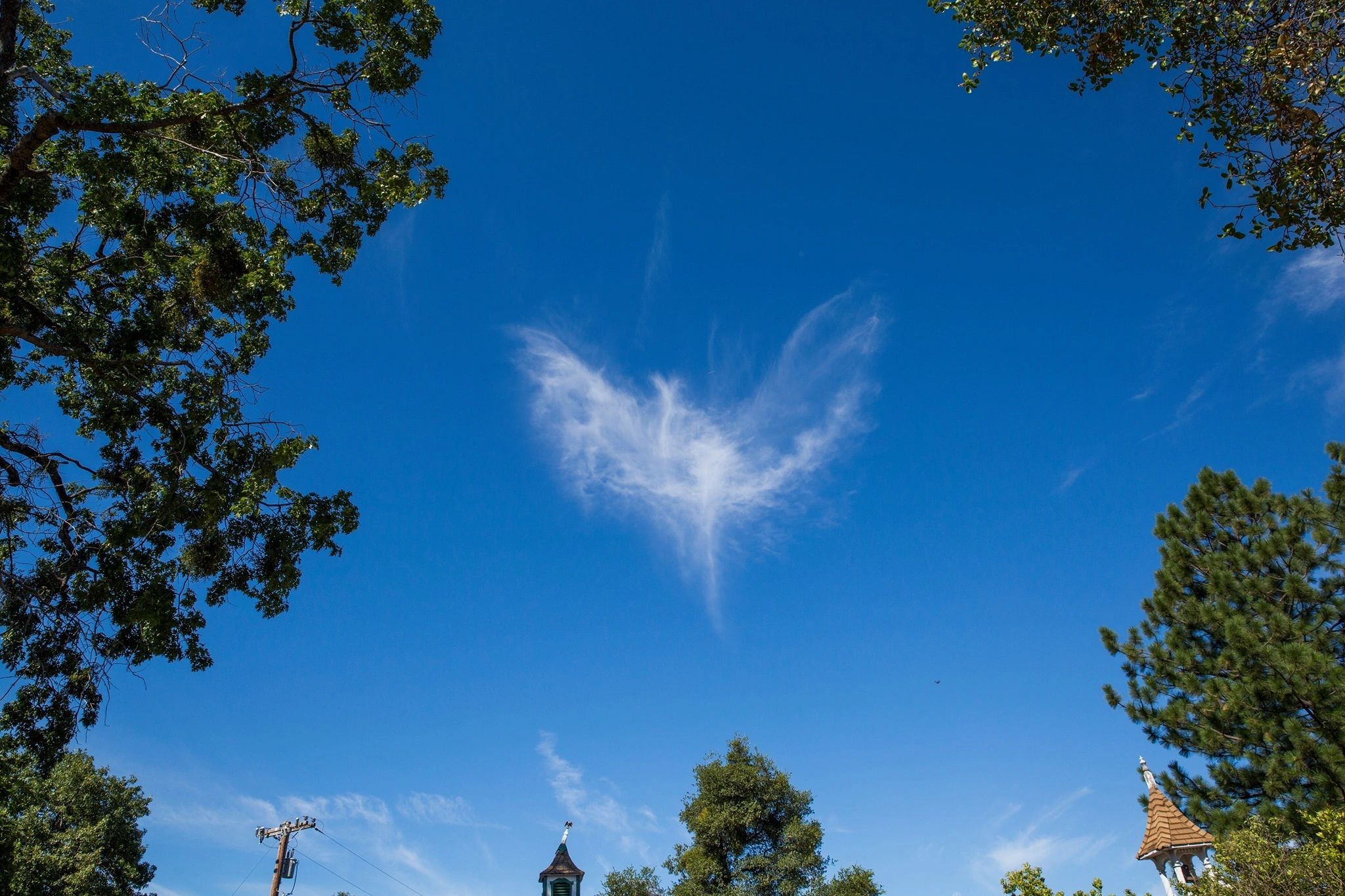 Encounter as Red Mule 2 by Ross Mehan