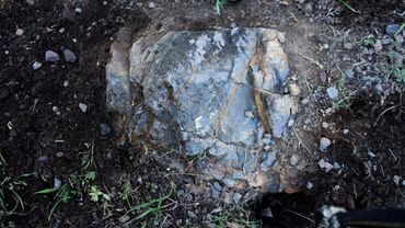 Stone bears repeating pattern #4