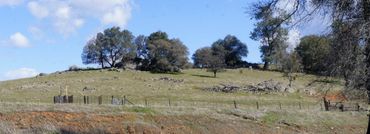 Stone Family Clusters on HWY 49