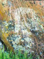 Curious decoration on ruins at Jackson Butte Mountain