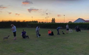 Rackheath Ringcraft, Norwich. Outside Training