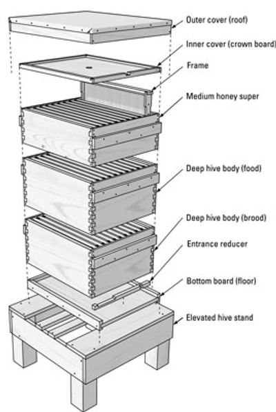 The components of a bee hive