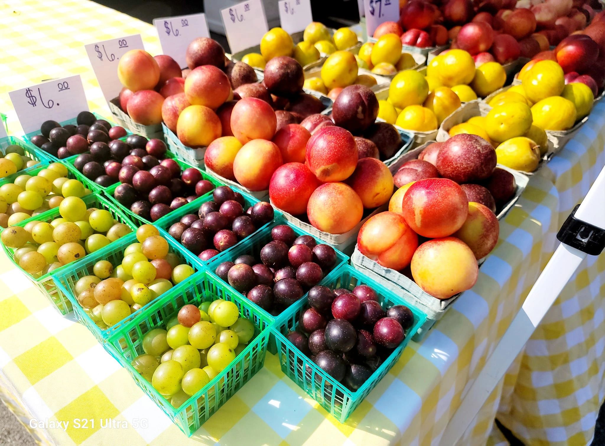farmers market fruit