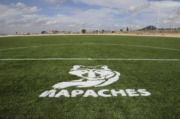mapaches. Tec regional