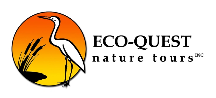 Eco-Quest Nature Tours