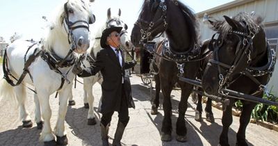Horse drawn funeral Highland Park Carriage Rides Fall Festivals Petting Zoo