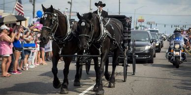horse drawn hearse, horse drawn funeral, percheron teams, horse drawn carriage texas louisiana