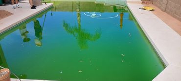 Green Pool Before Green To Clean