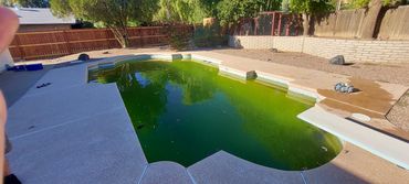 Green Pool Before Green To Clean