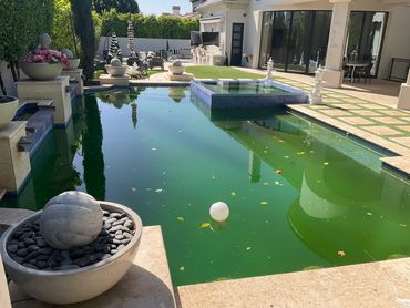Green Pool Before Green To Clean