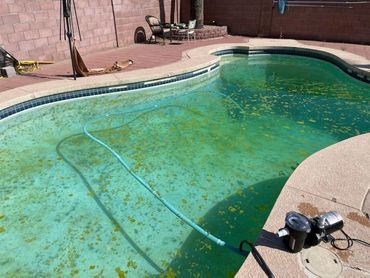 Green Pool Before Green To Clean