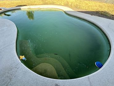 Green Pool Before Green To Clean
