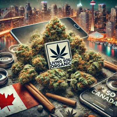 lso weed online
QuadCityTo Cannabis Co.
quadcityto.ca