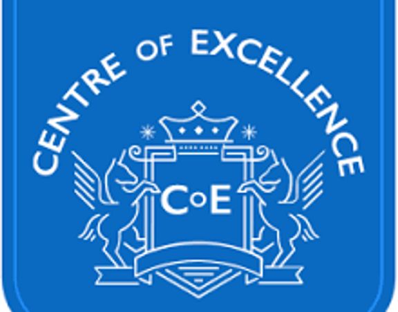 Certified professional organiser and declutterers