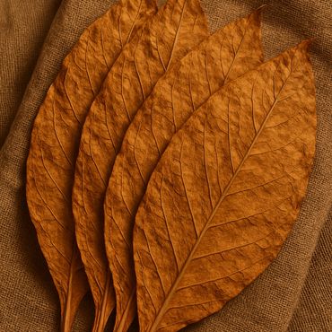 Four dried brown leaves arranged on burlap fabric.