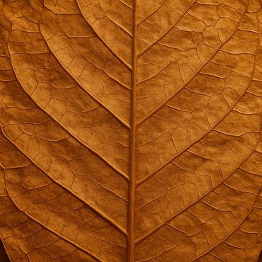 Close-up of a dry, brown leaf showing detailed veins and texture.