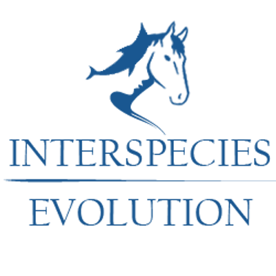 Interspecies Evolution, Ginny Jablonski, Horse, equine therapy, animal communication, animal healing