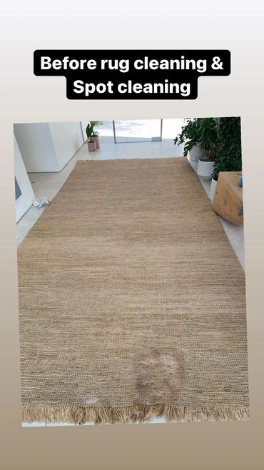 Fine silk rug with intricate medallion and border details