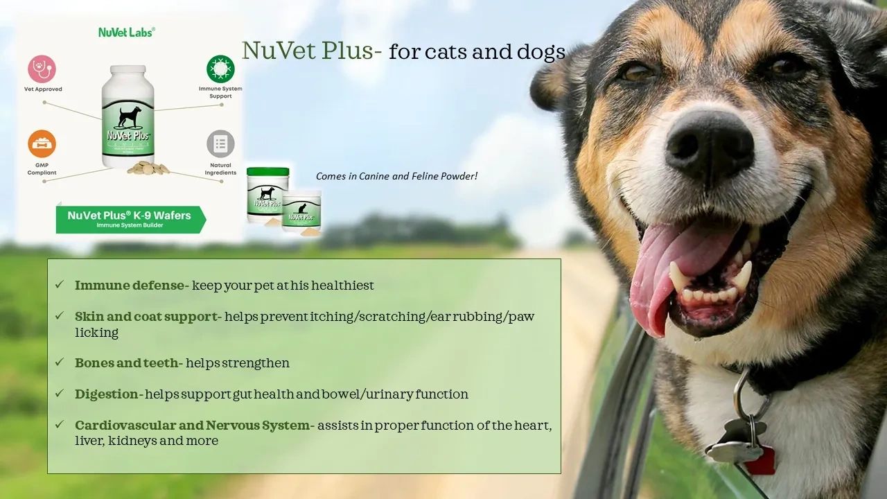 NuVet canine plus waters healthy vitamins boost immune system dog puppy respiratory virus protect