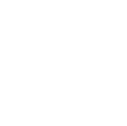 Got Soul Collective