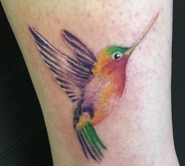 Mayhem - Humming bird water color