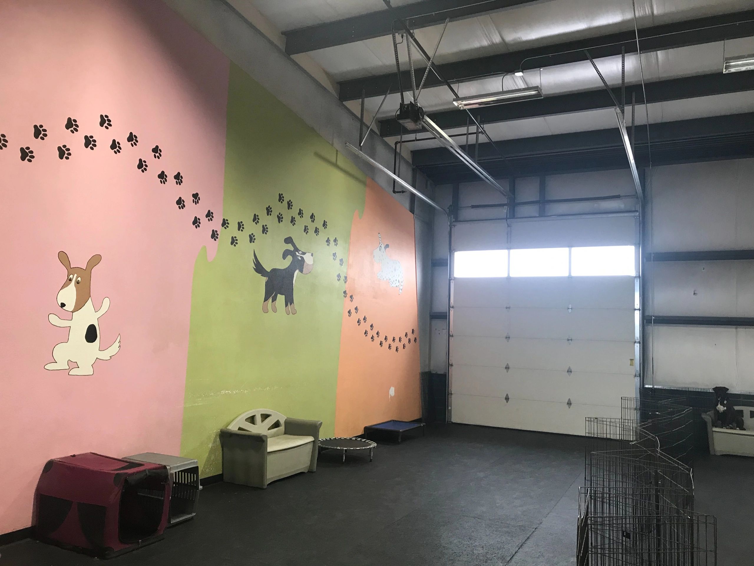 Original side of dog care; open-dated kennels for those dogs that want to take a break from things.