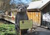 Visit the Big Bear Alpine Zoo