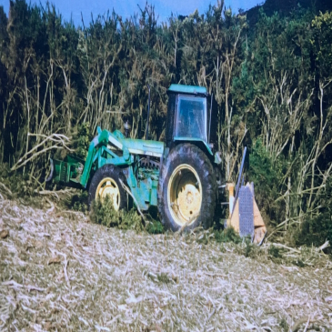 Green tractor in a field near dense plants.