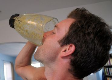 antiviral immunesystem