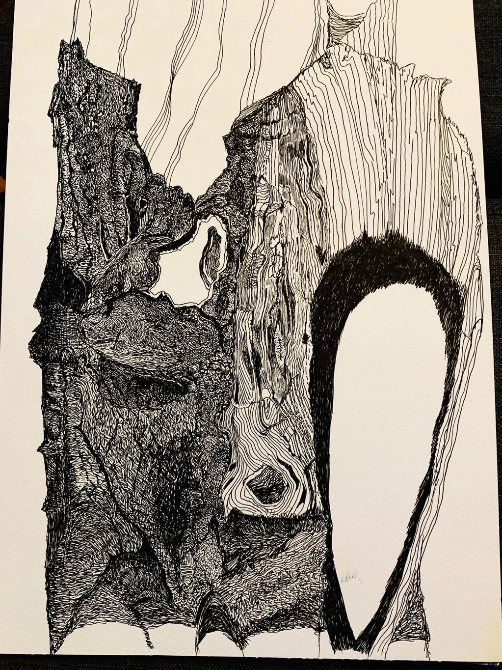 Black and white image of wood