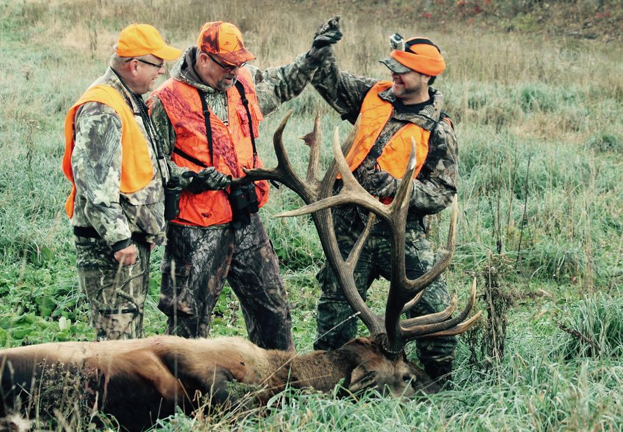 Elk guide , elk hunter, kPA bull elk