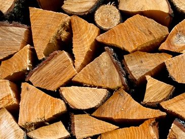 Firewood pieces arranged.