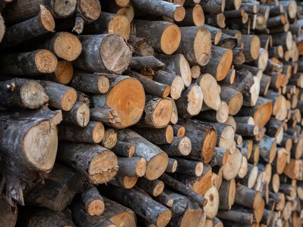 Close up of stack of firewood collecting in store preparing for winter season.