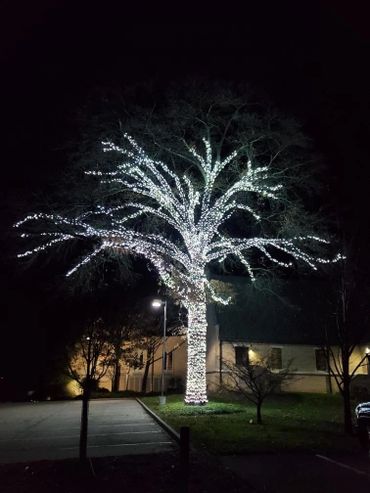 Christmas Light Installers St. Charles Missouri
