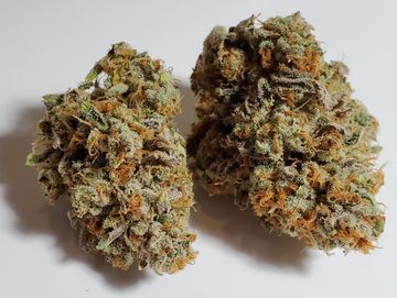 Strawberry Cane by Holy Smoke